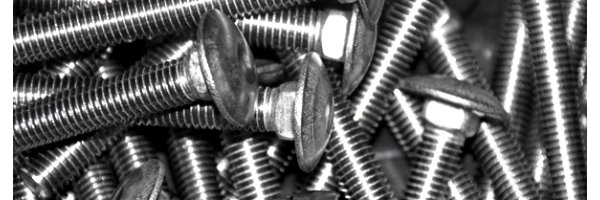 Stainless steel flat round screws