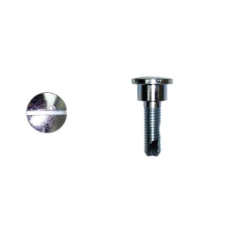 Lens screw for Mercedes W113 seat