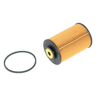 Fuel Filter for Volvo Amazon