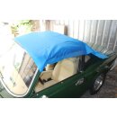 Protector for convertible top